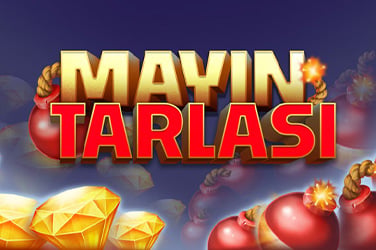 Mayın Tarlası
